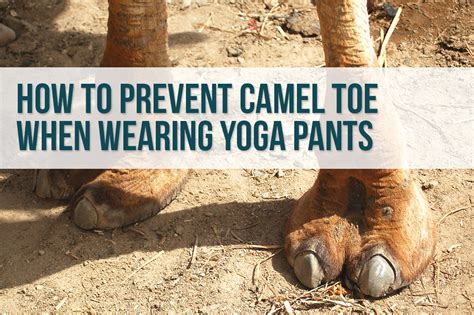 How To Prevent And Hide Camel Toe In Yoga Pants Schimiggy