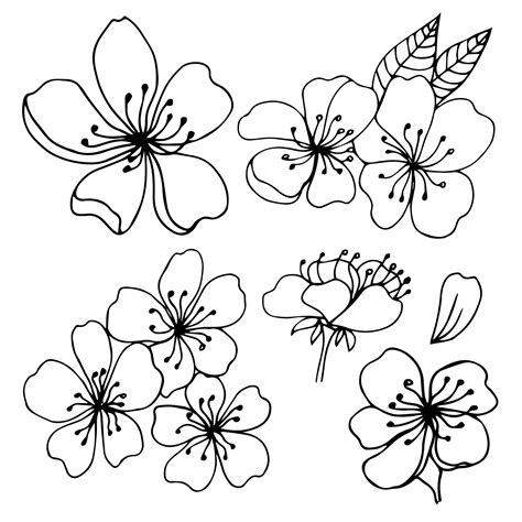 Sakura Flowers Blossom Set Hand Drawn Line Ink Style Cure Doodle