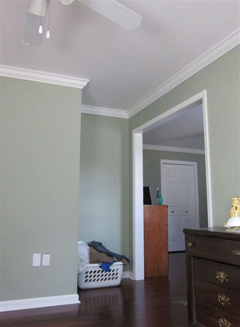 Sage Green Wall Paint Color