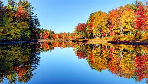 Where And When To Spot Fall Foliage Year You