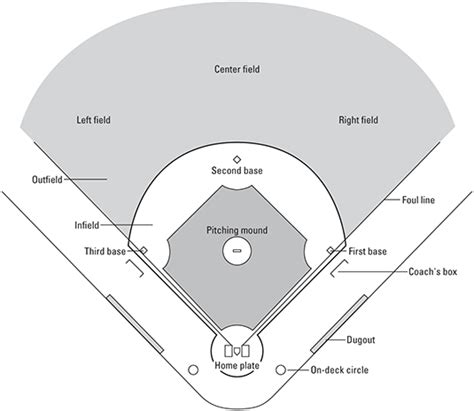 All nine baseball position numbers. Baseball For Dummies Cheat Sheet - dummies