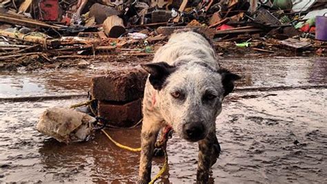 Massive Tornado Hits Oklahoma City And Leaves At Least 90 Dead