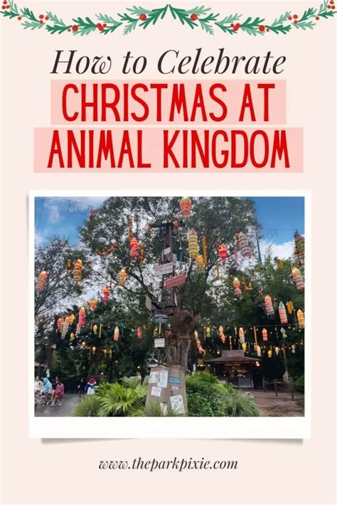 Disneys Animal Kingdom At Christmas Celebration Guide 2024 The Park