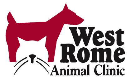 Rome, Georgia | Pet clinic, Veterinary clinic, Veterinarian