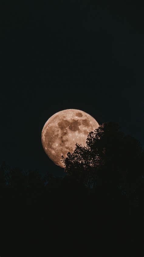 Download Wallpaper 2160x3840 Moon Full Moon Trees Night Samsung