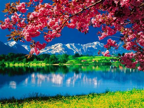 Photo Background Nature Hd Download Enjoy And Share Your Favorite
