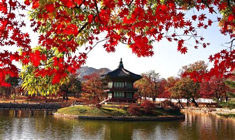 Autumn In South Korea 2019 The Countrys Best Spots For Fall In One