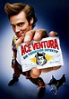 Ace Ventura: Pet Detective Movie Poster - ID: 71081 - Image Abyss