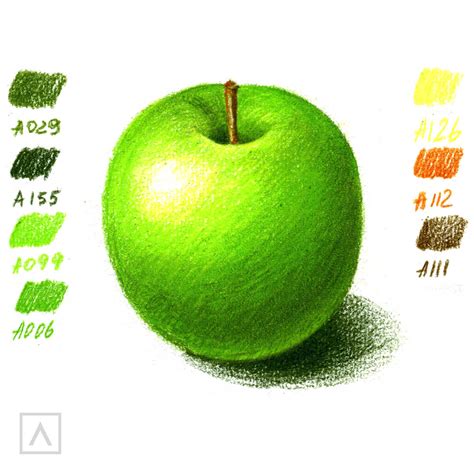 How To Color Realistically With Colored Pencils