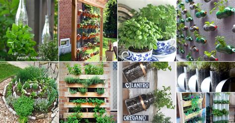 18 Brilliant And Creative Diy Herb Gardens For Indoors And