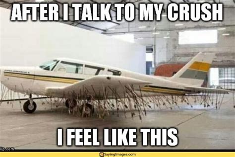 20 Airplane Memes That Will Leave You Laughing For Days Sayingimages