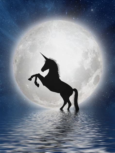 Know About The Mythical Creatures Unicorns With Pictures