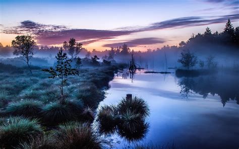 landscape, Nature, Mist, Sunrise, Trees, Shrubs, River, Germany, Calm, Water, Blue, Morning ...
