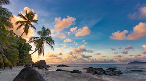 Download Wallpaper 3840x2160 Beach Palm Trees Sea Nature Landscape