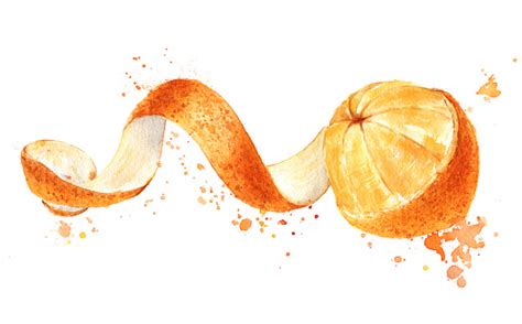 Orange Peels Clip Art Vector Images And Illustrations Istock