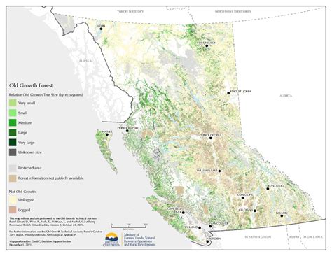 Old Growth Forests In British Columbia What They Are And Why They