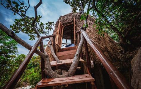 Giant Birds Nests Are The Perfect Place To Stay Close To The Ocean