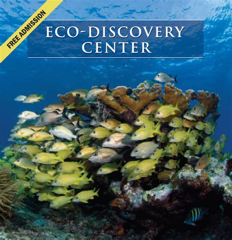 Welcome To The Florida Keys Eco Discovery Center John Parce Real