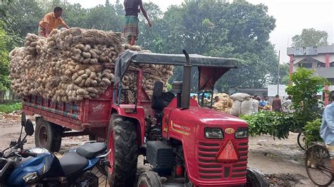 শুক্রবার ০৪ আগষ্ট ২৩ দাম কমেছে পাটের দাম সোনালী আঁশ পঞ্চগড়ে পাটের দাম কমেছে Youtube