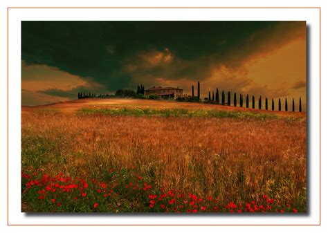 Wallpaper Summer Italy Italia Estate Val Tuscany Poppies Siena
