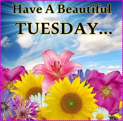 Have A Beautiful Tuesday Pictures Photos And Images For Facebook