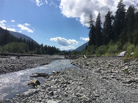 Hoh River Trail Washington Alltrails