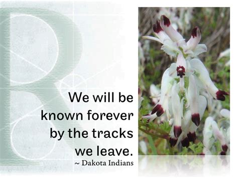 Rqotd 302 We Will Be Known Forever By The Tracks We Leave ~ Dakota Indians