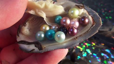 pearls in ocean