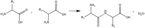 Organic Chemistry Condensation Reactions Chemtalk