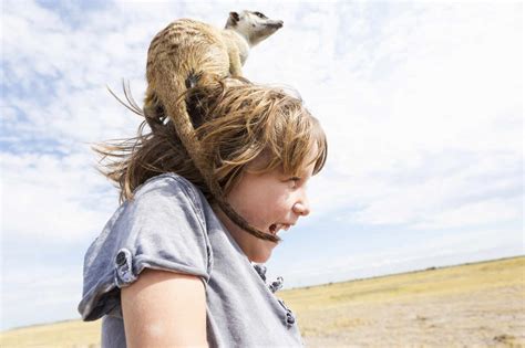 5 Jahre Alter Junge Mit Erdmännchen Auf Dem Kopf Kalahari Wüste Makgadikgadi Salzpfannen