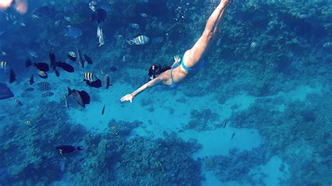 2b Diving Red Sea Sharm El Sheikh Reef Sj4000 Youtube