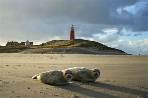 The Best Dutch Weekend Destination The Wadden Islands Expat Republic