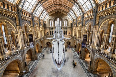 The Natural History Museum Lobby London United Kingdom