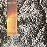 Boogarins – Lá Vem A Morte (2018, 180g, Smoky Clear, Vinyl) - Discogs