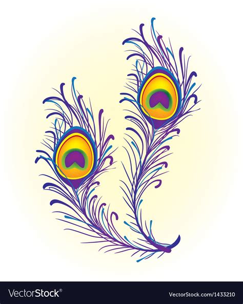 peacock feather royalty free vector image vectorstock