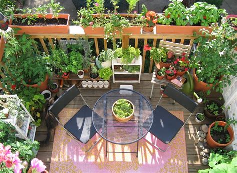 11 Deck Vegetable Garden Ideas To Grow More In Less Space