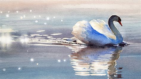 Watercolor Painting Of A Swan In Dreamy Backlight Youtube