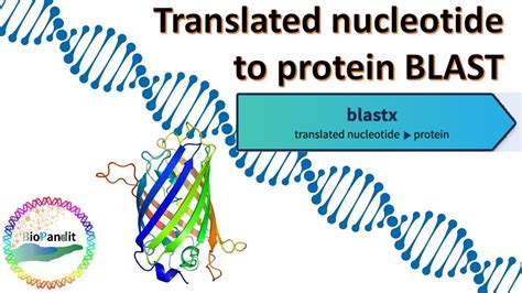 Translated Nucleotide To Protein Blast Blastx Youtube