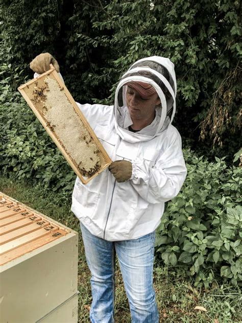 Backyard Beekeeping For Beginners Rocky Hedge Farm