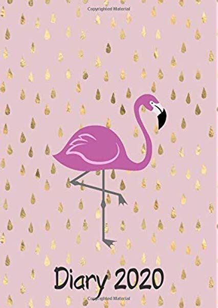 Crazy Flamingo Lady Academic Diary 2019 2020 Monthly Week To View