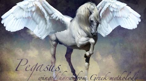 Pegasus Full Hd Wallpaper And Background Image 2144x1206 Id250086