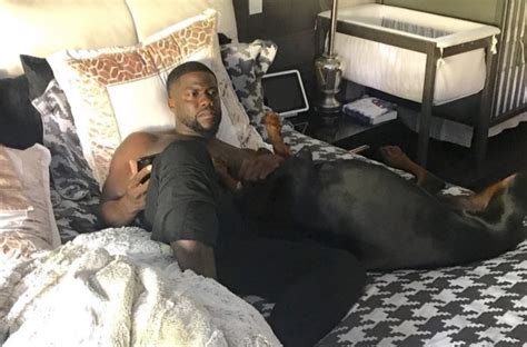 Kevin Hart Sex Tape Co Star S Strip Tease Footage Surfaces. 