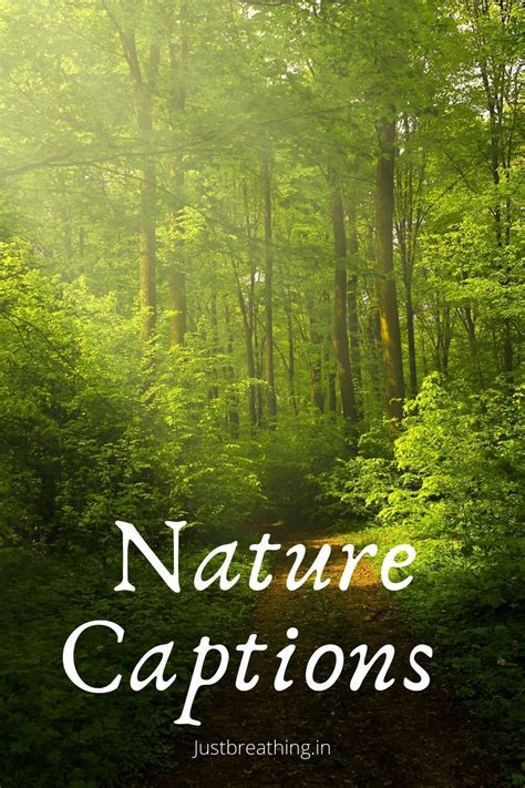Captions For Nature Photos On Instagram And Nature Quotes Nature