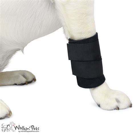 So, it's important to understand what to look for and learn how to sometimes, your cat may be limping from a simple accident. Dog/Cat Splints and Braces | Dog Wheelchairs, Dog Carts ...