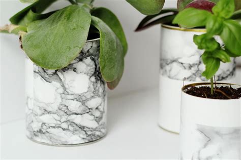 How To Make Beautiful Diy Marble Herb Planter Using Glue