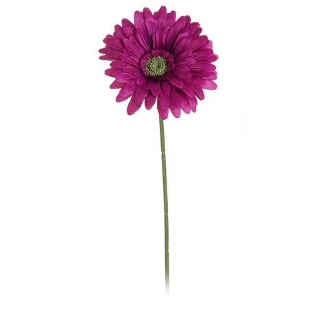 Wilko Gerbera Single Stem Flower Magenta Wilko