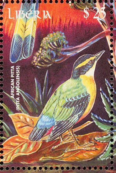 A Postage Stamp With A Bird On It S Back And Two Other Birds In The