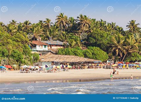 Arambol Beach Goa Editorial Image Image Of Palm Bright 127733640