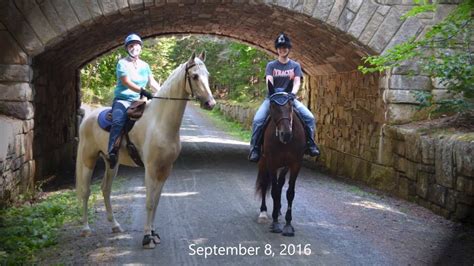 Acadia National Park Trail Riding On The Carriage Roads Youtube