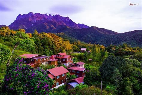 The journey to kinabalu park takes about 1 hours drive through scenic countryside and beautiful mountain range. Adventerous Kundasang - Sabah Tour Package - D Asia Travels